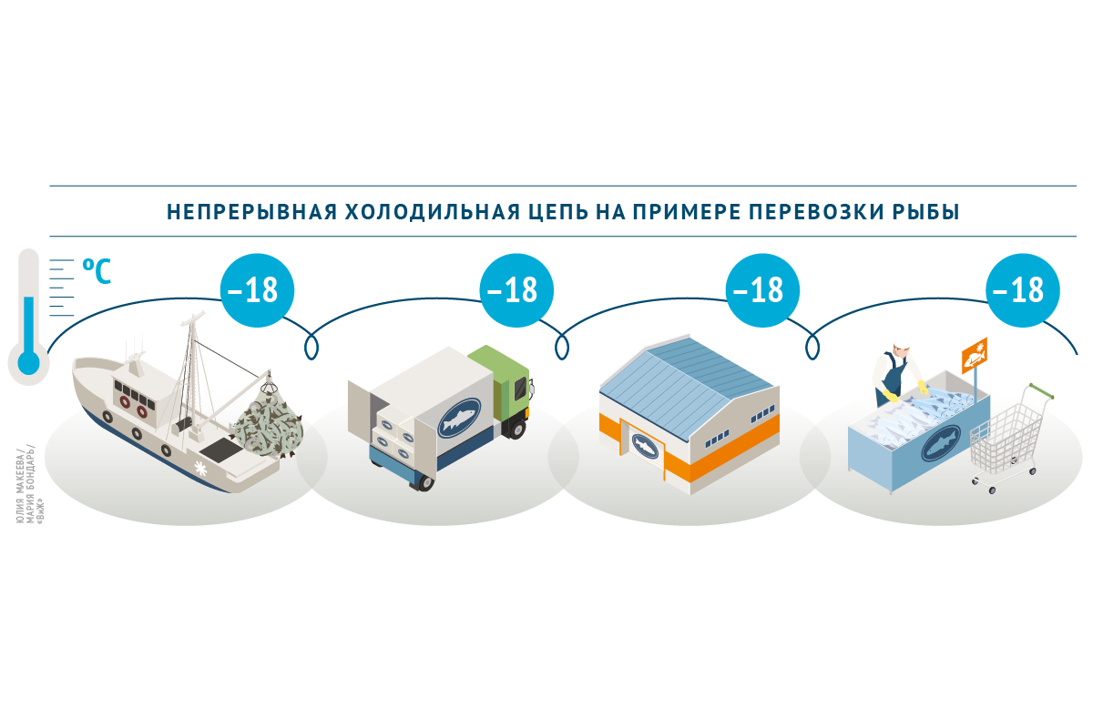Холодовая цепь поставки морепродуктов - контроль температуры при приемке